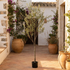 Olivo artificial UV 175 cm en patio mediterráneo