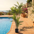 Palmera artificial UV 140 cm junto a piscina