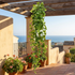 Hiedra artificial colgante UV en pérgola exterior