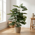 Monstera artificial en maceta interior