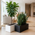 Jardinera Maxideco en salón amplio