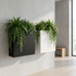 Jardinera Muro en pared moderna