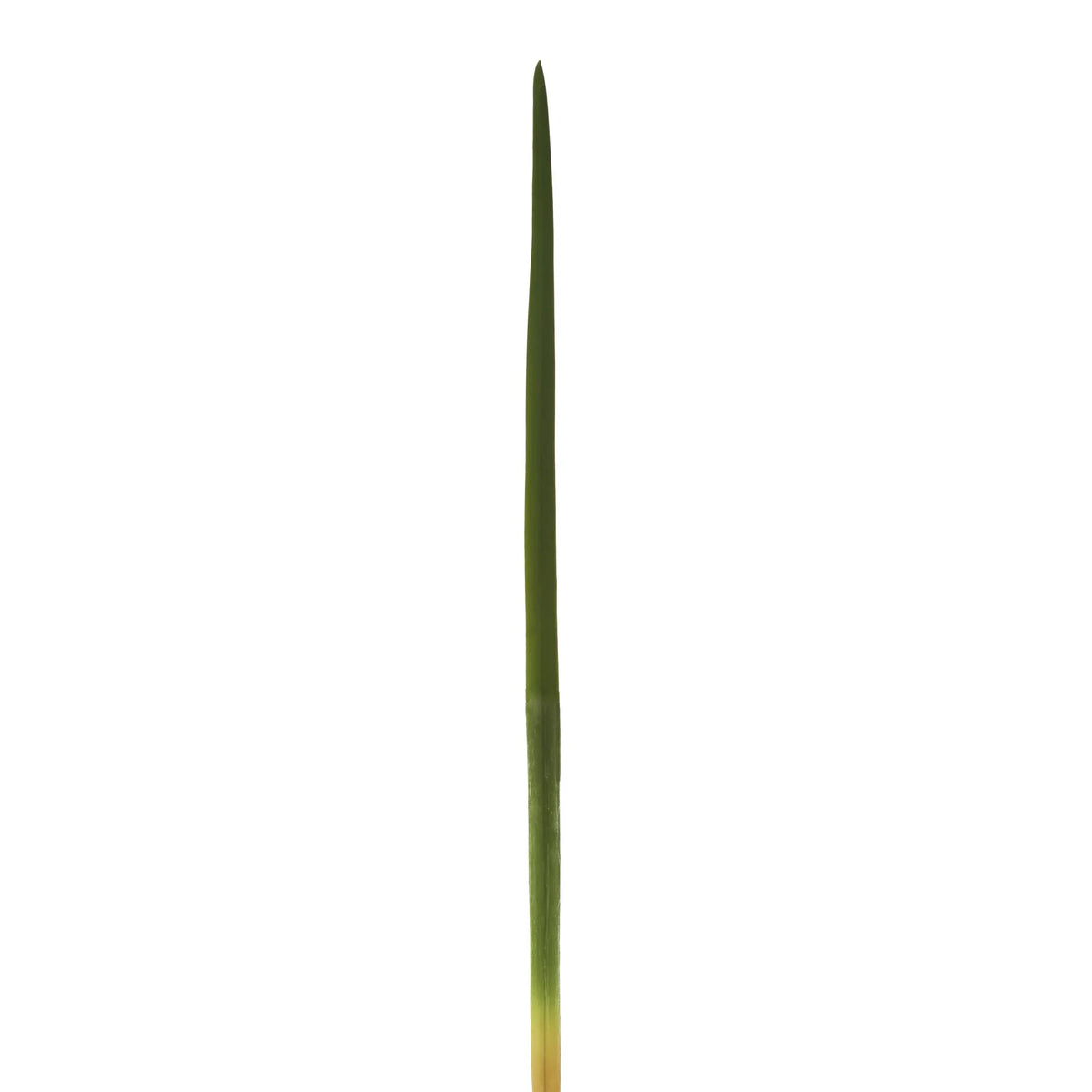 Hierba Cinta artificial de 63 cm, color verde