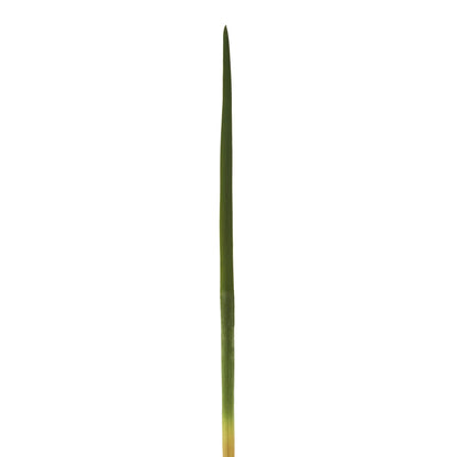 Hierba Cinta artificial de 63 cm, color verde
