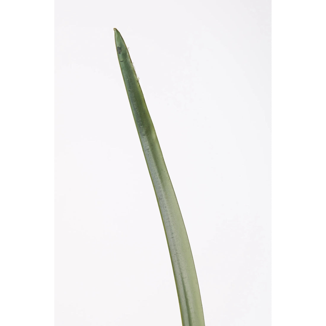 Hierba Cinta artificial de 63 cm, color verde