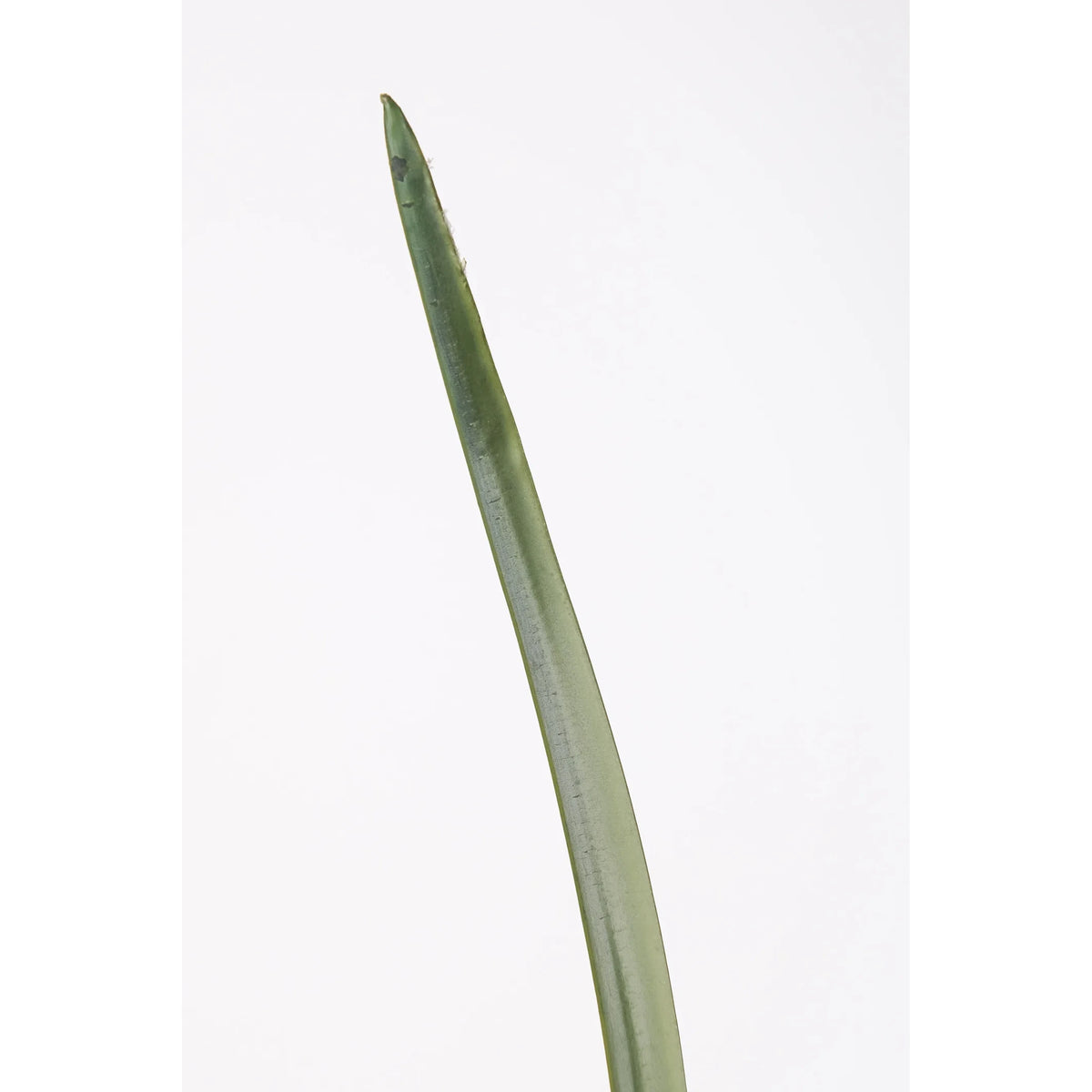 Hierba Cinta artificial de 63 cm, color verde