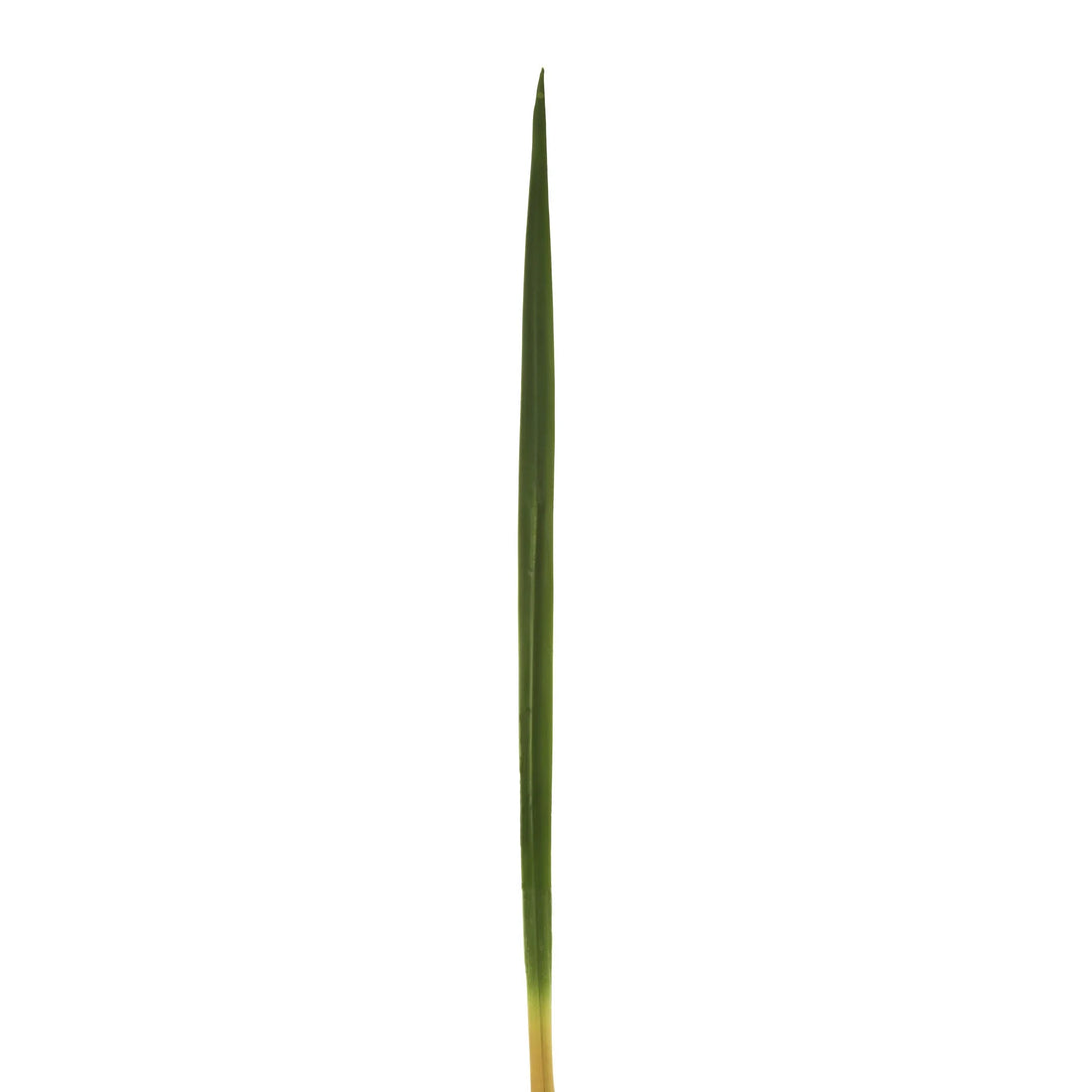 Hierba Cinta artificial de 72 cm, color verde