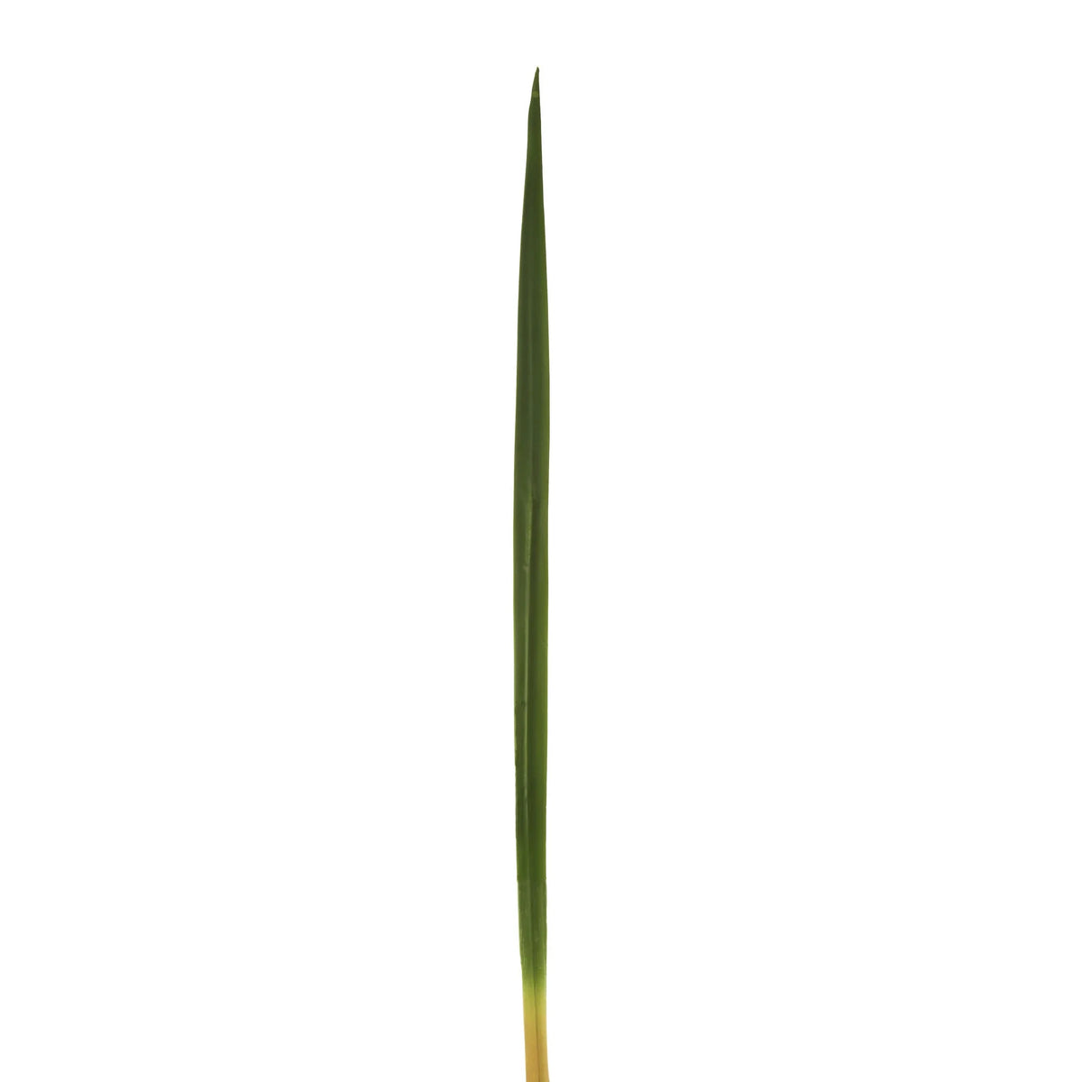 Hierba Cinta artificial de 72 cm, color verde