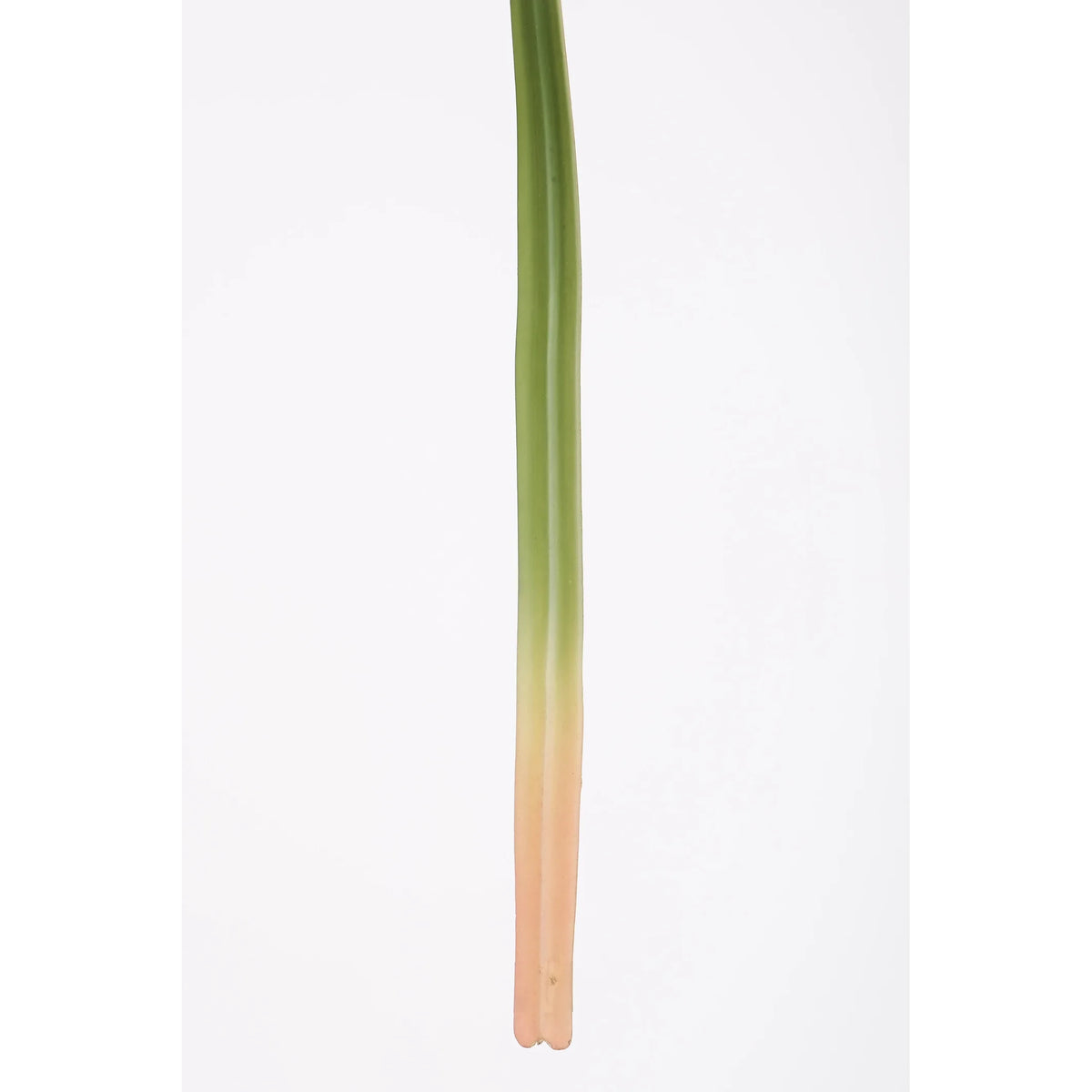 Hierba Cinta artificial de 72 cm, color verde