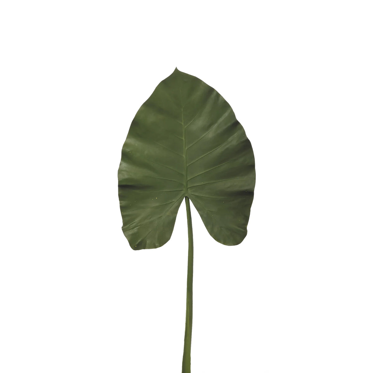 Hoja de Alocasia artificial de 112 cm, color verde