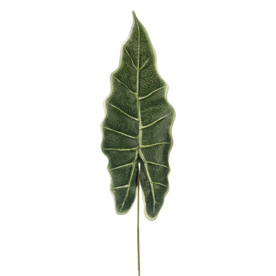 Hoja de Alocasia artificial de 79 cm, color verde