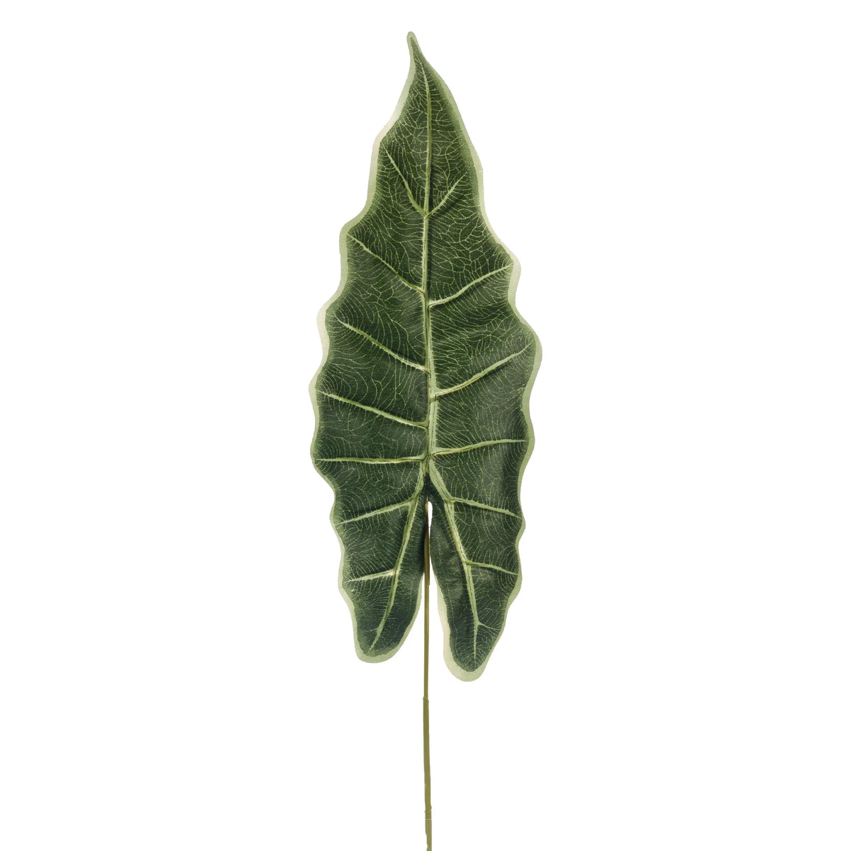 Hoja de Alocasia artificial de 79 cm, color verde