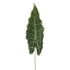 Hoja de Alocasia artificial de 79 cm, color verde