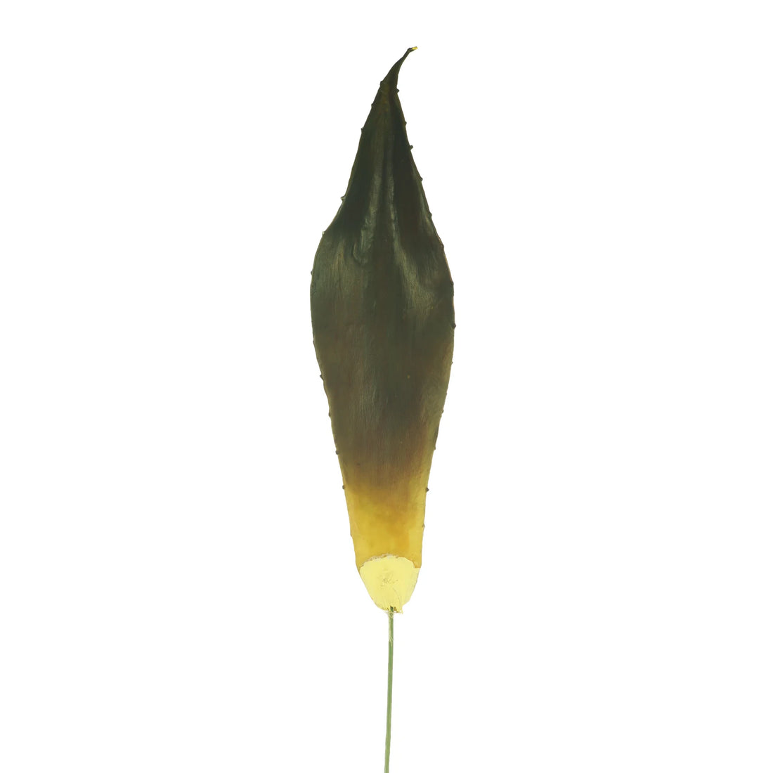 Hoja de Aloe Vera artificial de 52 cm, color verde