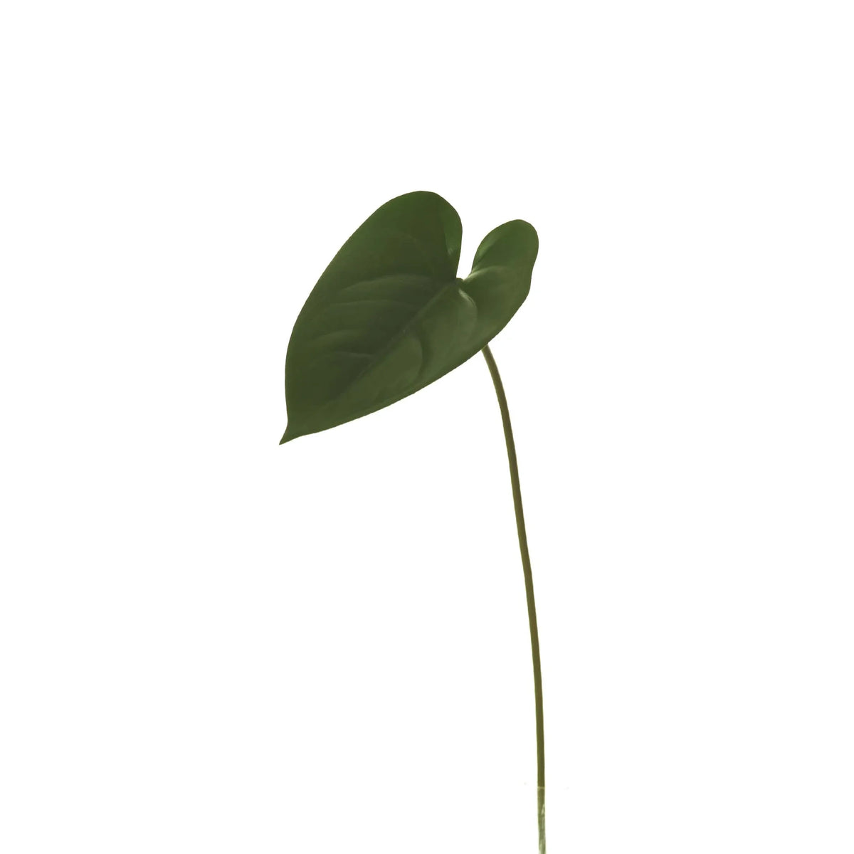 Hoja de Anturio artificial de 40 cm, color verde