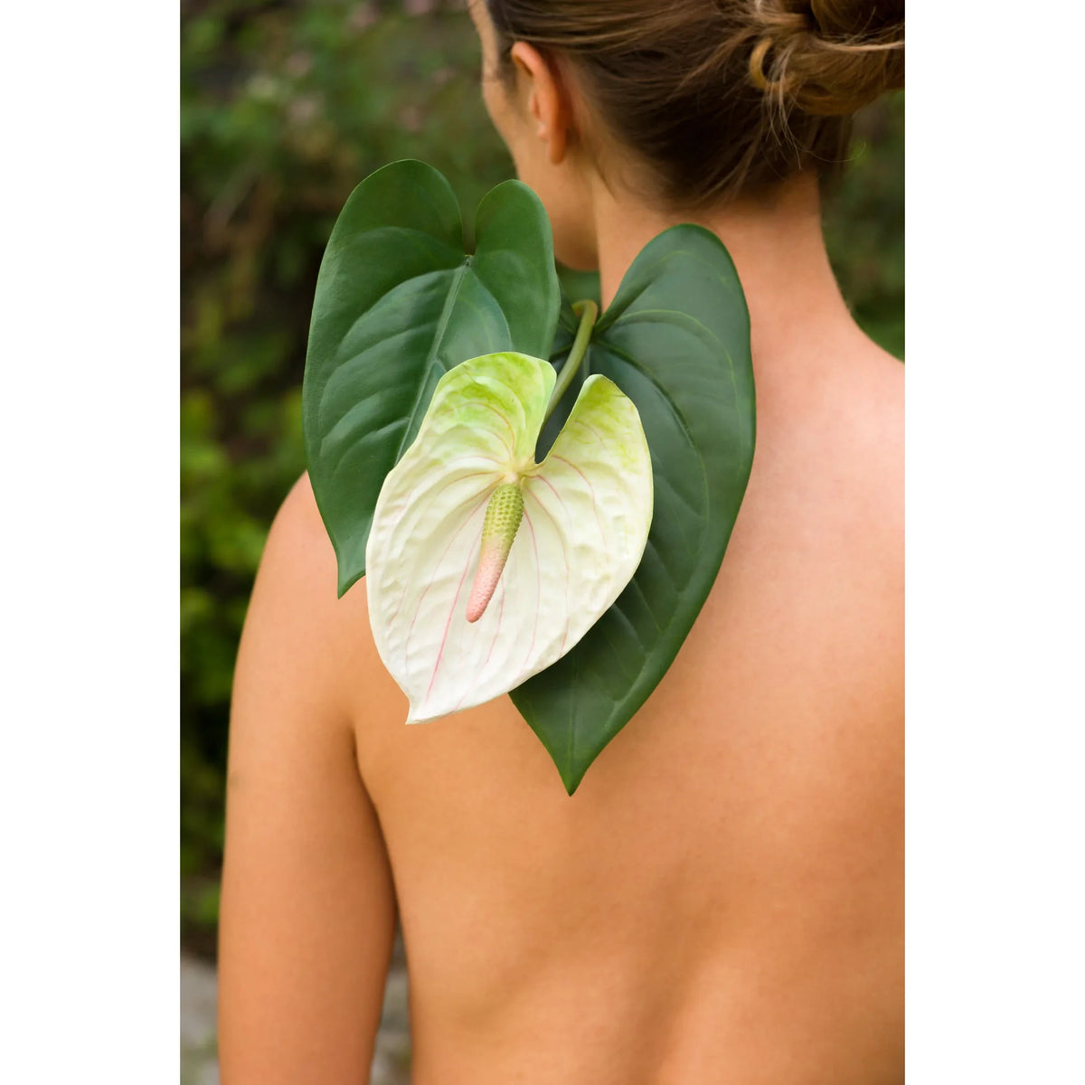 Montaje: hoja de Anturio artificial de 46 cm, color verde; las otras piezas no se incluyen
