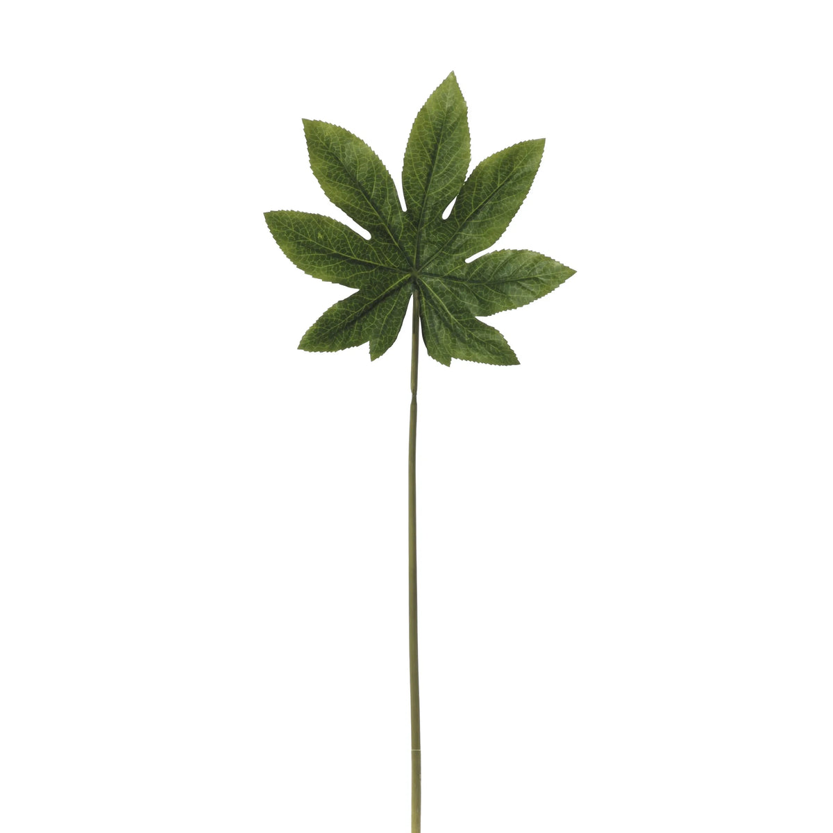 Hoja de Aralia artificial de 75 cm, color verde