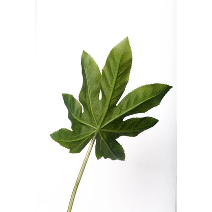 Hoja de Aralia artificial de 75 cm, color verde