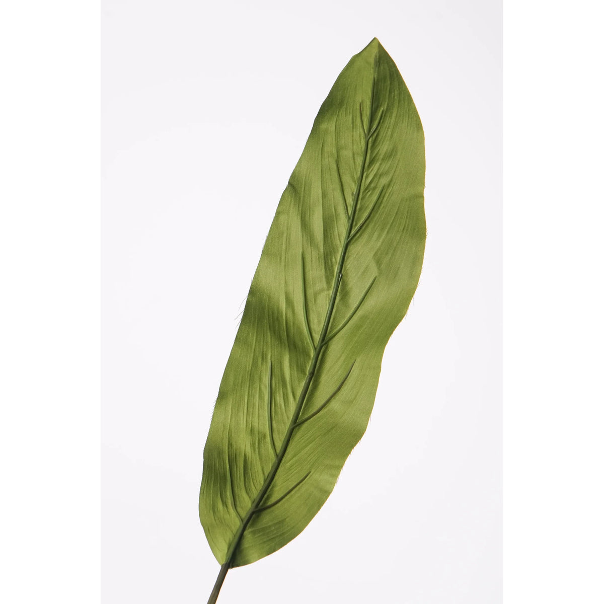 Hoja de Cordyline artificial de 110 cm, color verde