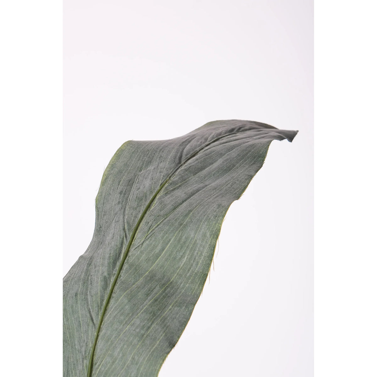 Hoja de Cordyline artificial de 110 cm, color verde