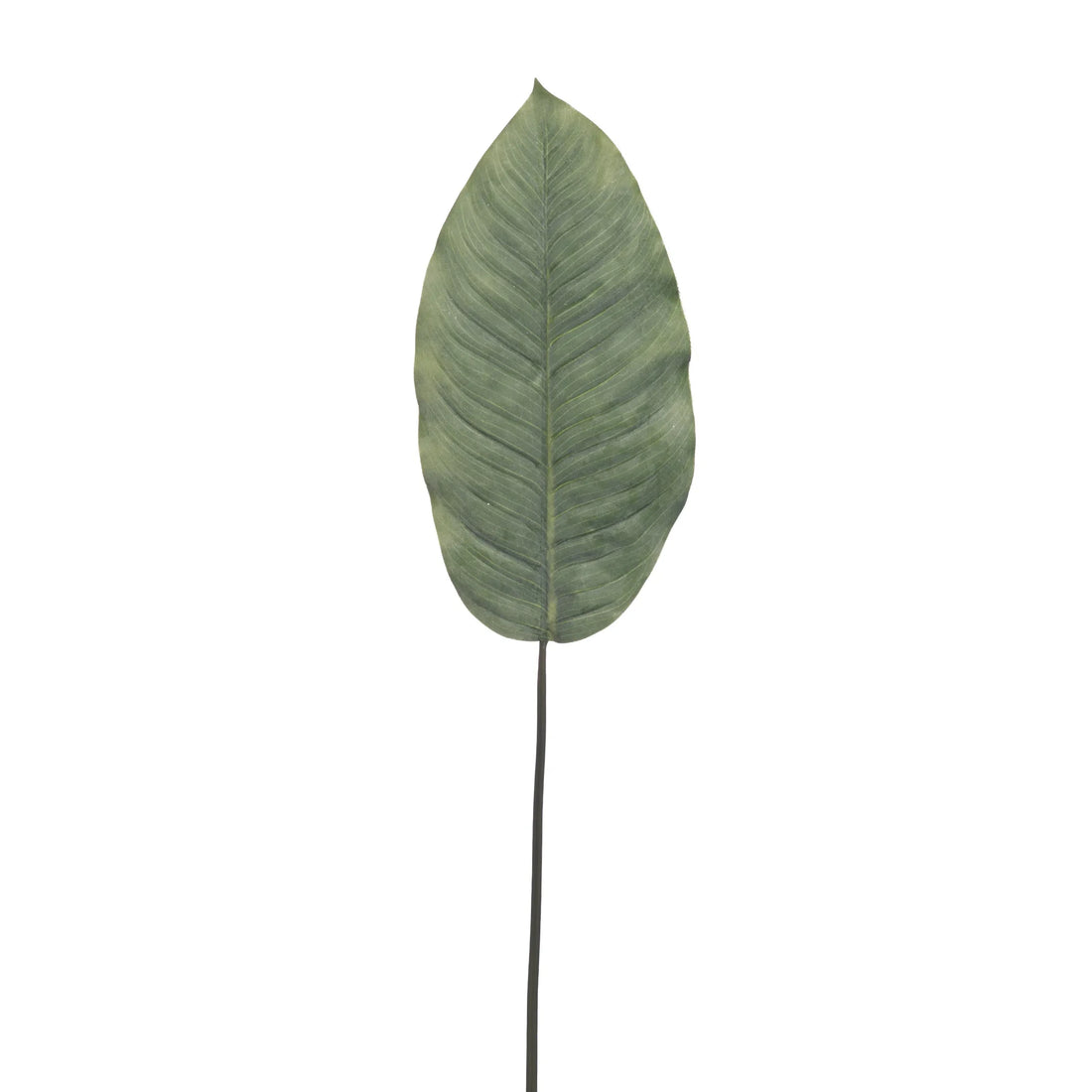 Hoja de Dieffenbachia artificial de 91 cm, color verde
