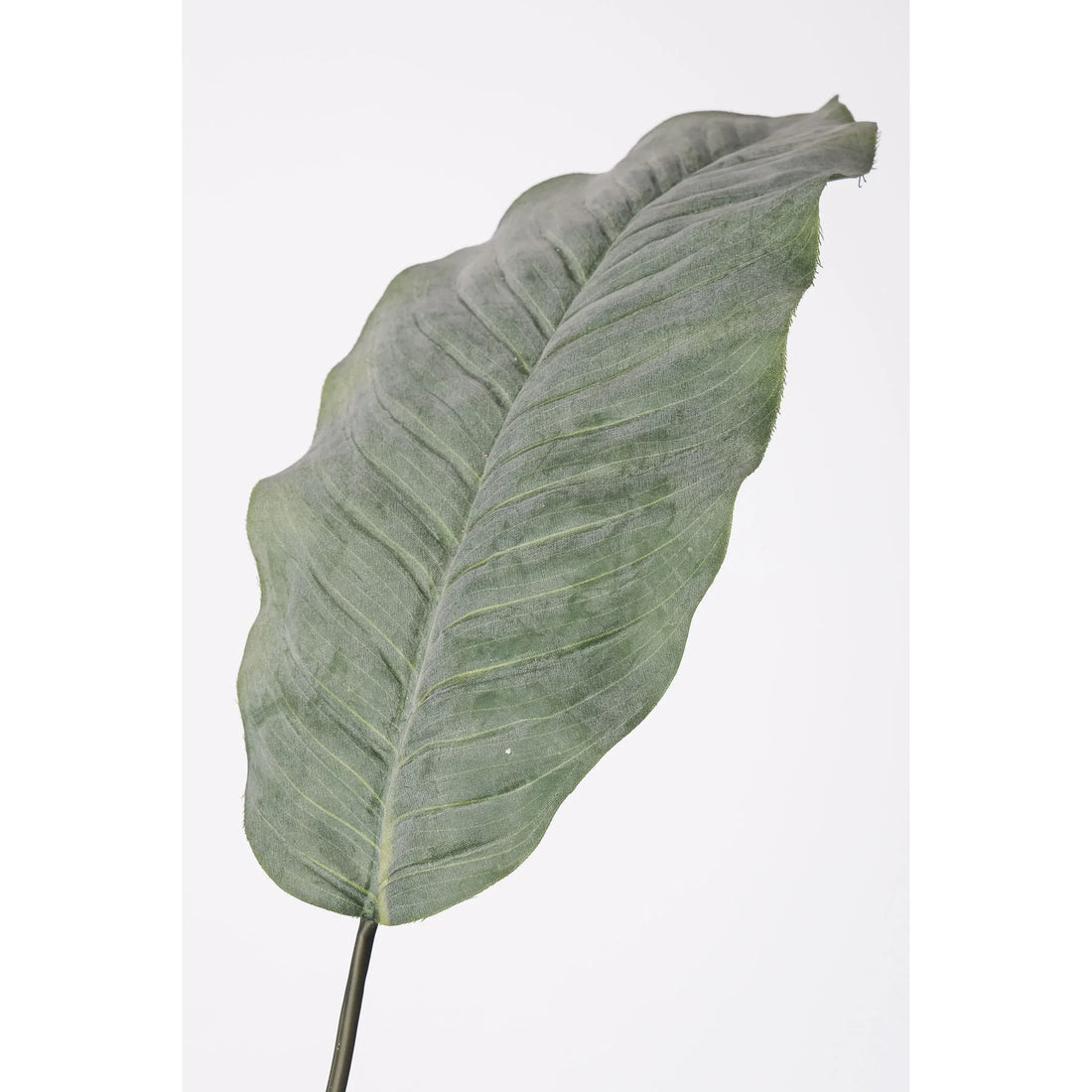 Hoja de Dieffenbachia artificial de 91 cm, color verde