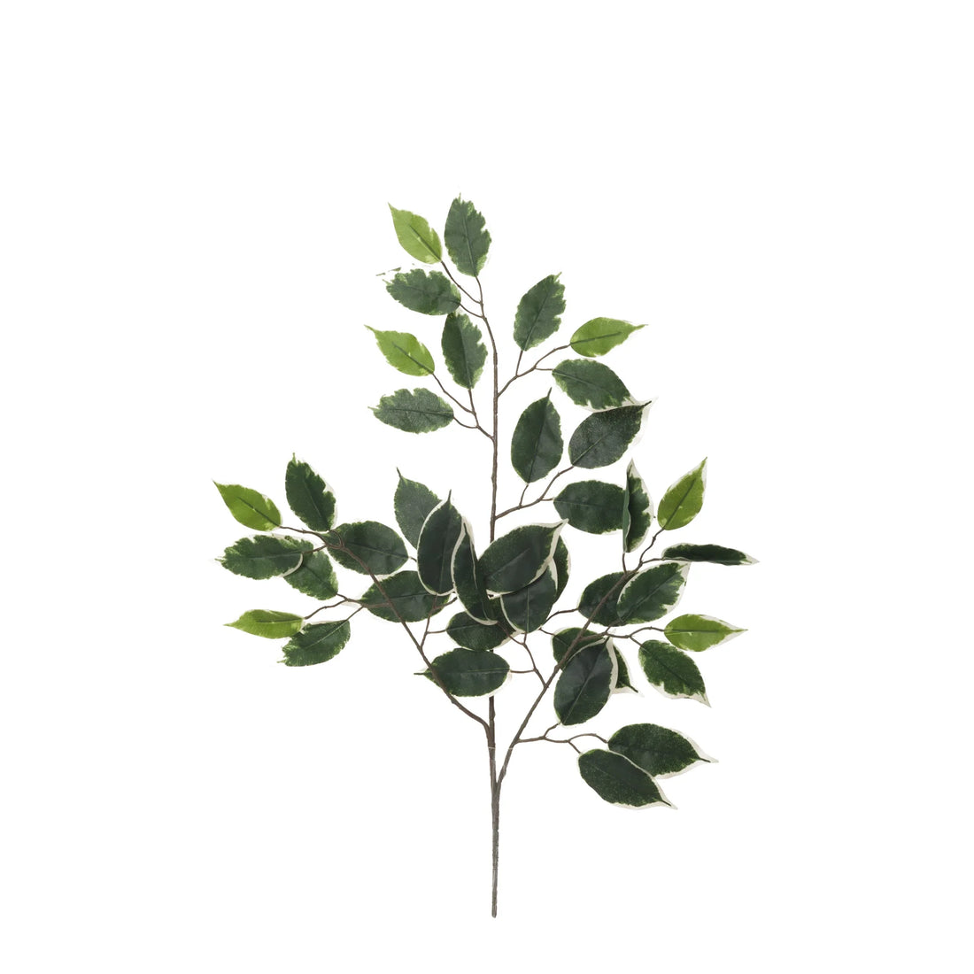 Hoja de Ficus artificial de 60 cm, color bicolor