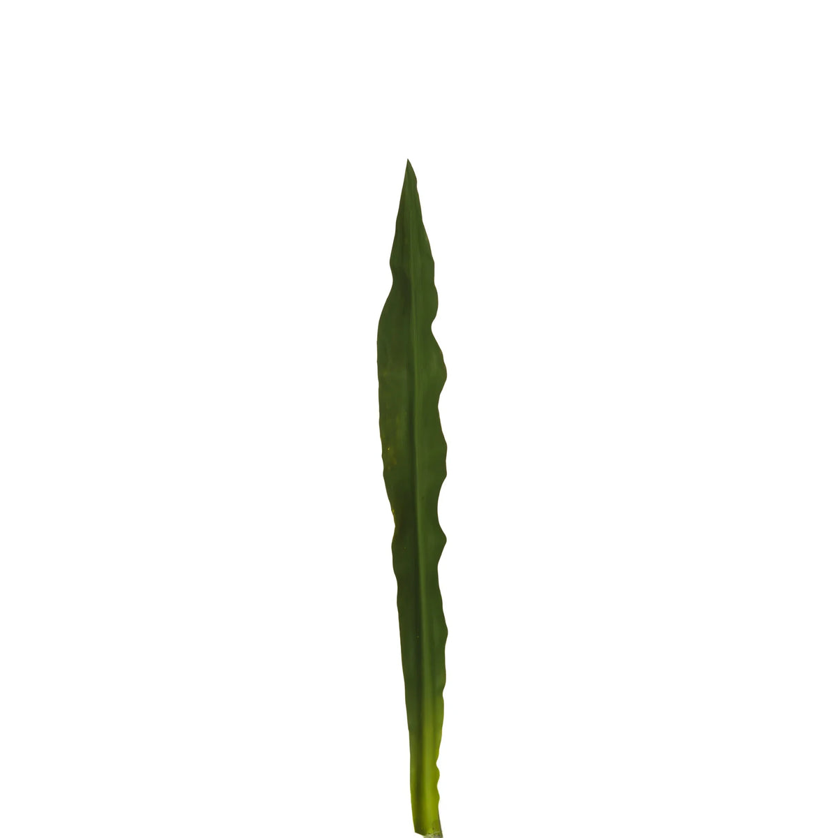 Hoja de Gymea artificial de 81 cm, color verde