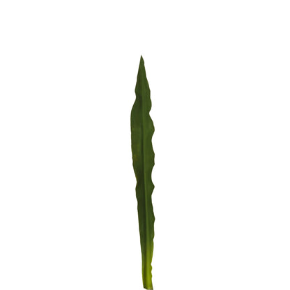 Hoja de Gymea artificial de 81 cm, color verde