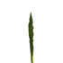 Hoja de Gymea artificial de 81 cm, color verde