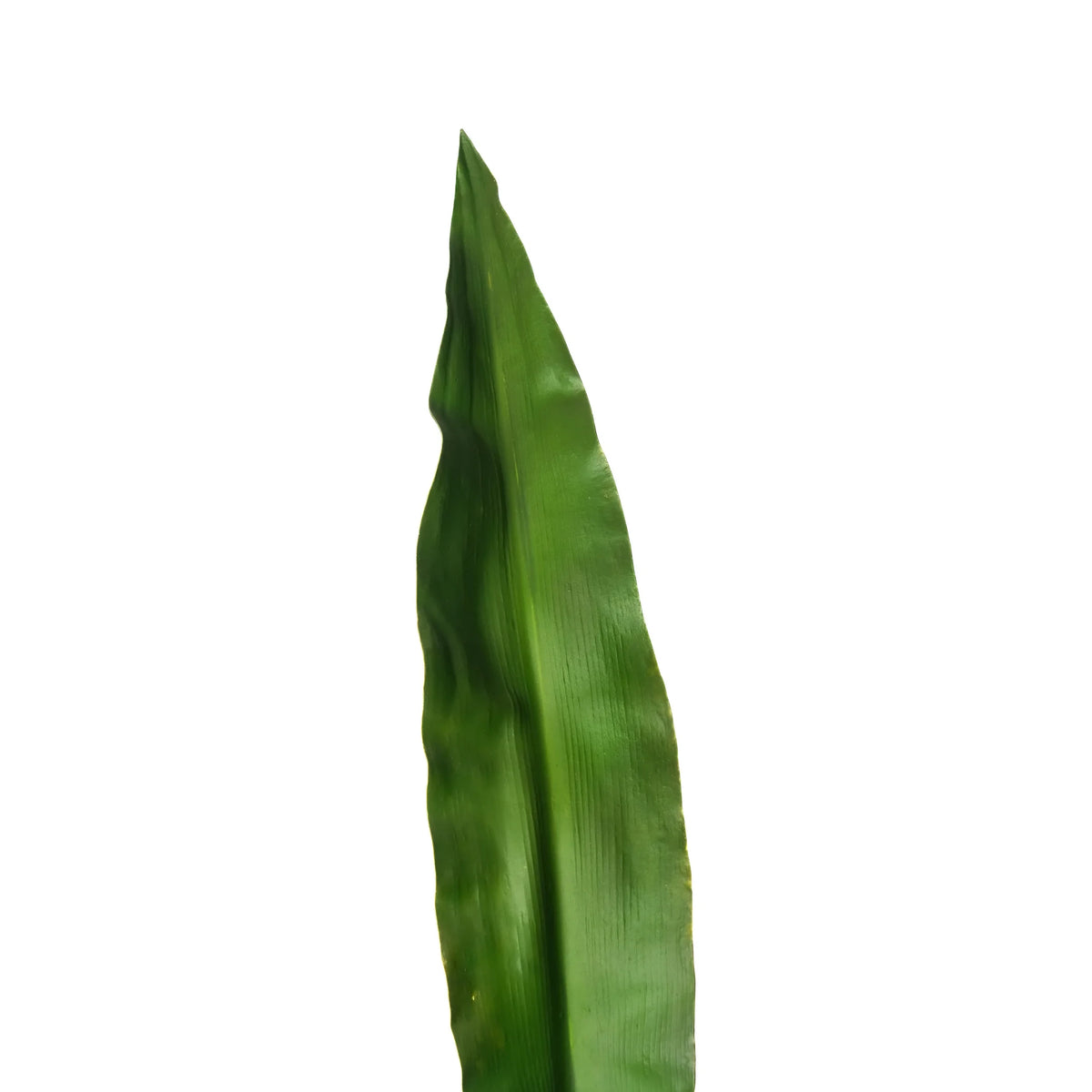 Hoja de Gymea artificial de 81 cm, color verde