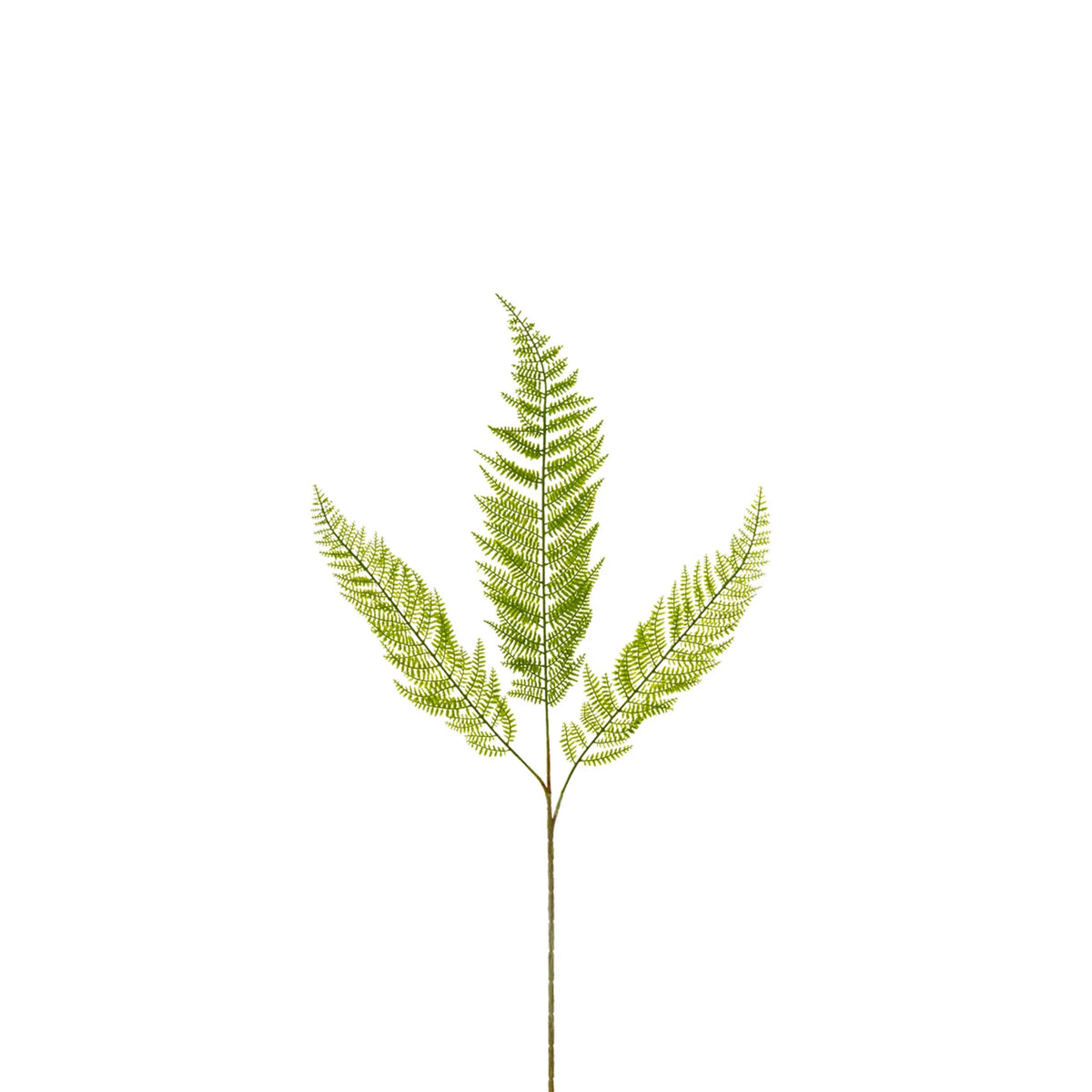 Hoja de Helecho artificial de 68 cm, color verde