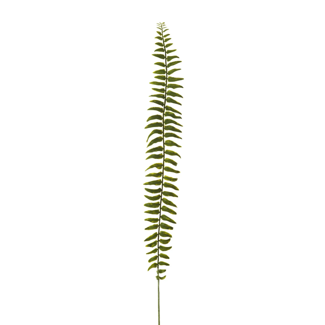 Hoja de Helecho artificial de 79 cm, color verde