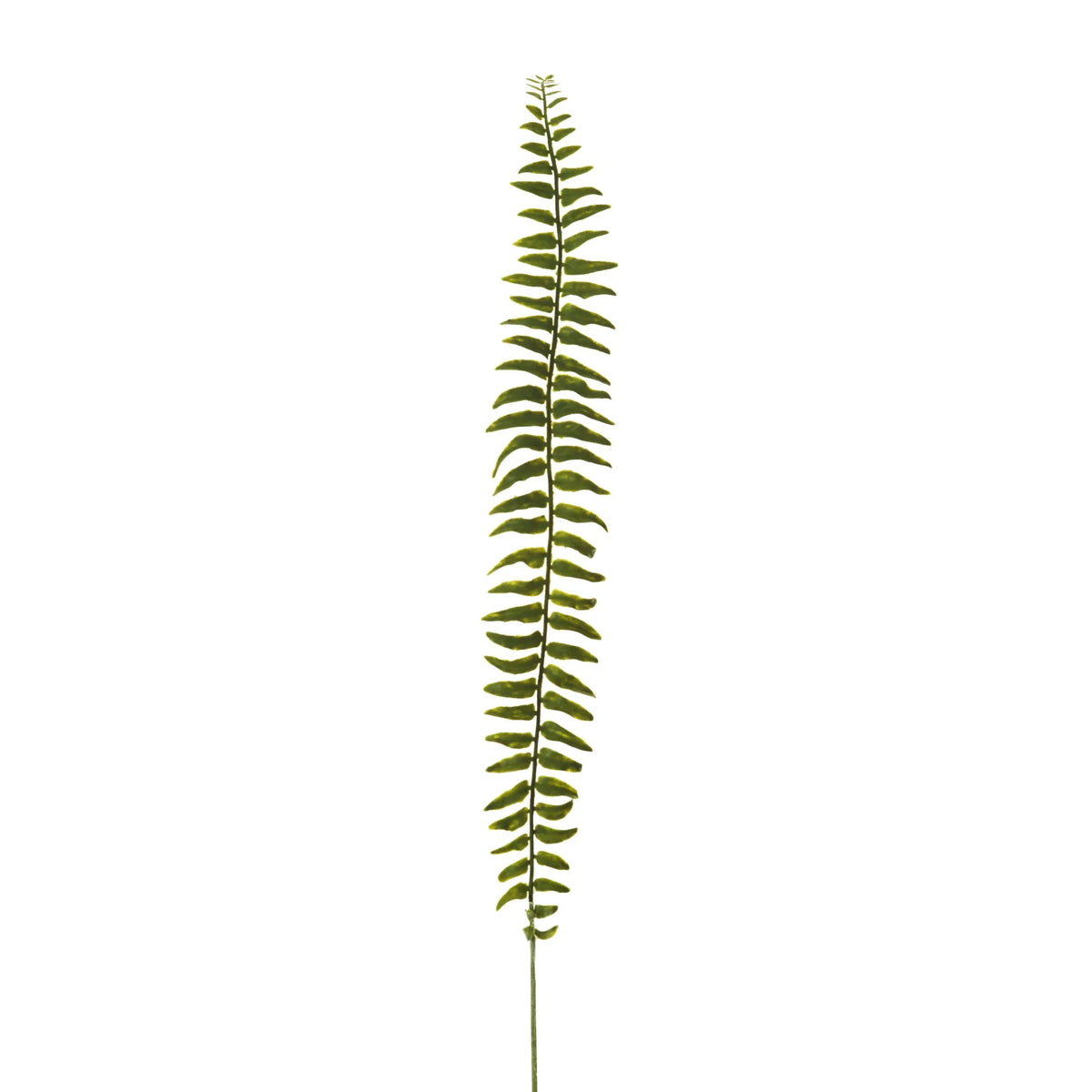 Hoja de Helecho artificial de 79 cm, color verde