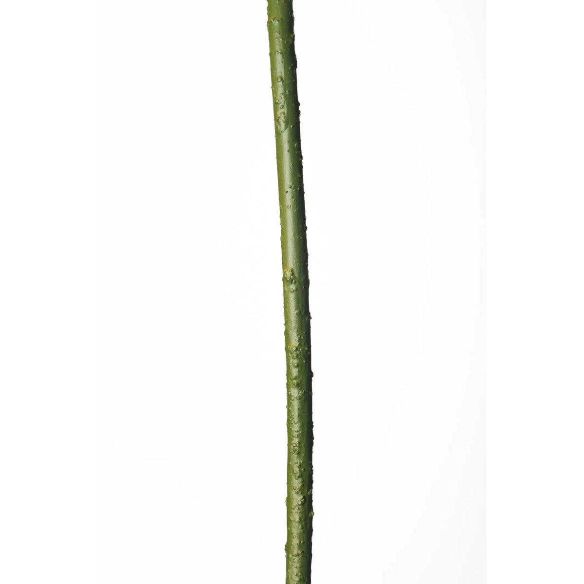 Hoja de Loto artificial de 105 cm, color verde