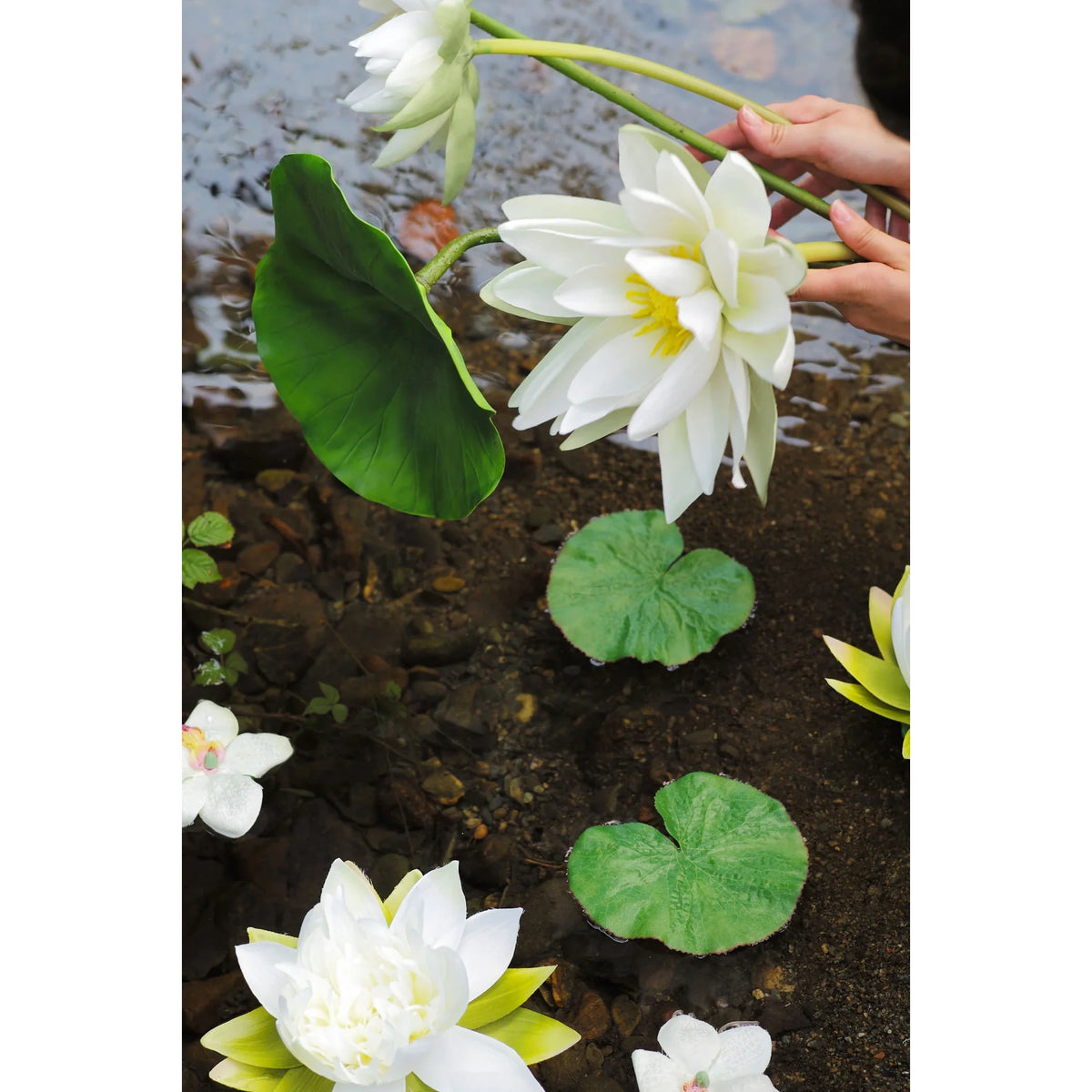 Montaje: hoja de Loto artificial Flotante de 8 cm, color verde; las otras piezas no se incluyen