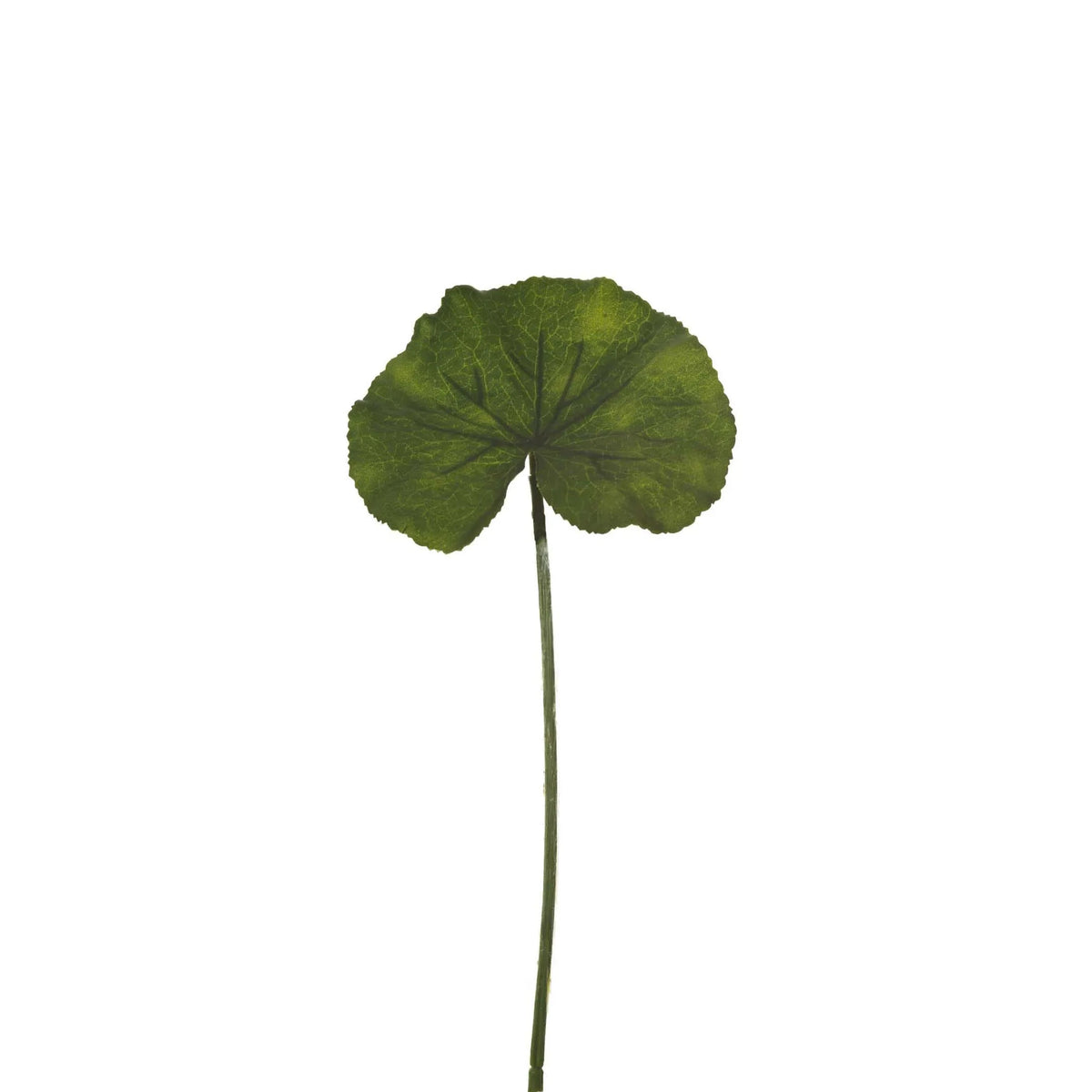 Hoja de Loto artificial Mini de 28 cm, color verde