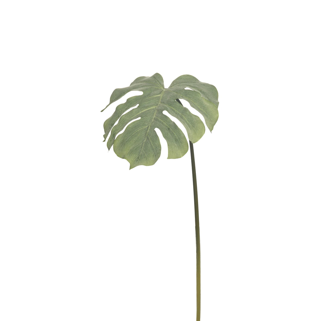 Hoja de Monstera artificial Mediana de 81 cm, color verde