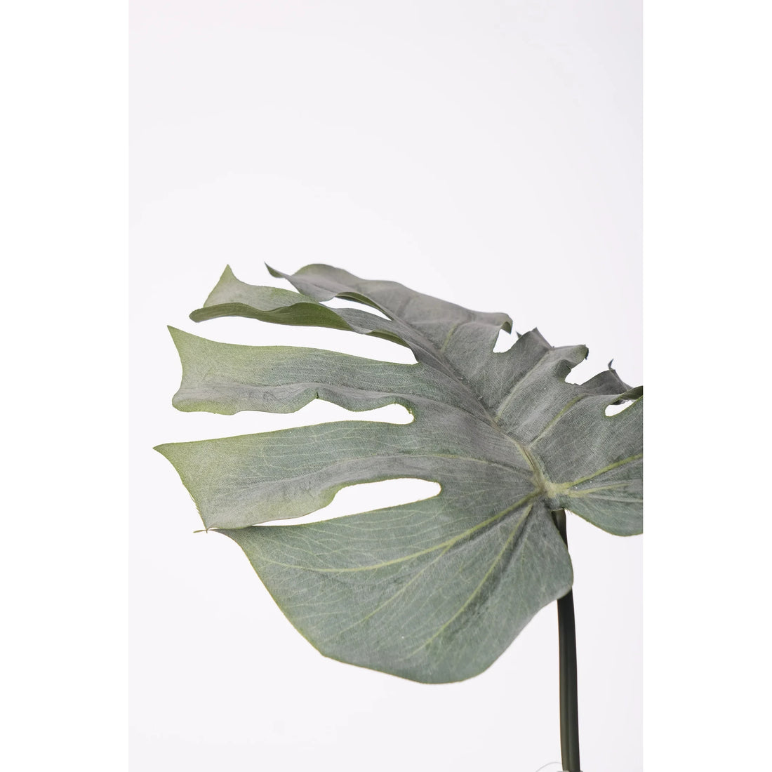 Hoja de Monstera artificial Mediana de 81 cm, color verde