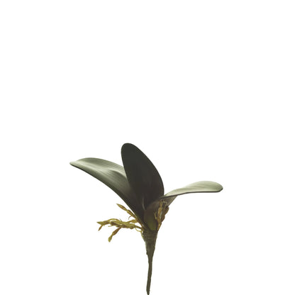 Hoja de Orquídea artificial con Raíces de 20 cm, color verde