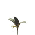 Hoja de Orquídea artificial con Raíces de 20 cm, color verde