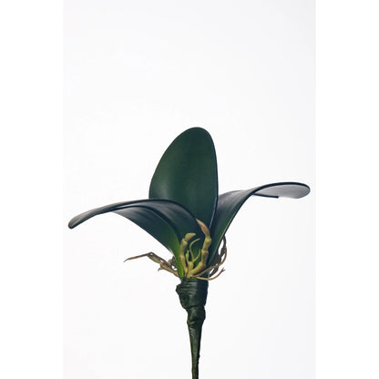Hoja de Orquídea artificial con Raíces de 20 cm, color verde