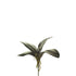 Hoja de Orquídea artificial con Raíces de 27 cm, color verde