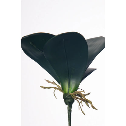 Hoja de Orquídea artificial con Raíces de 27 cm, color verde