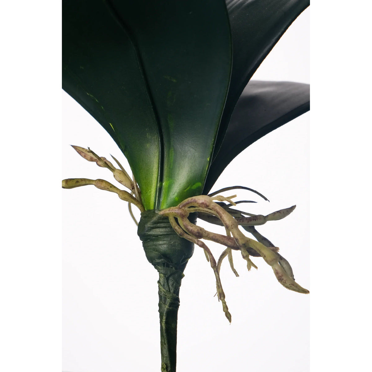 Hoja de Orquídea artificial con Raíces de 27 cm, color verde