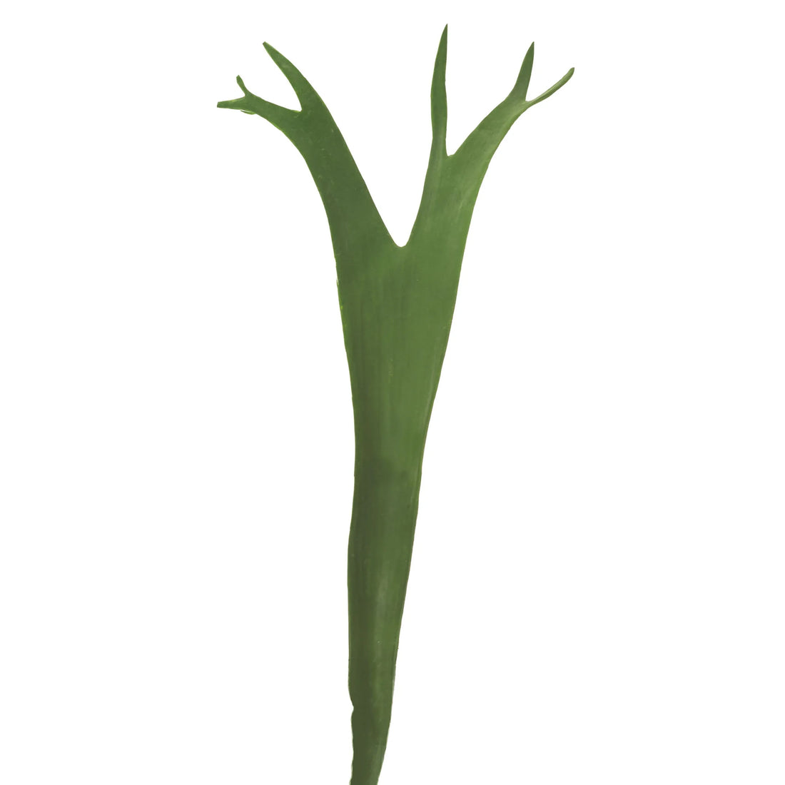 Hoja de Platycerium artificial de 40 cm, color verde