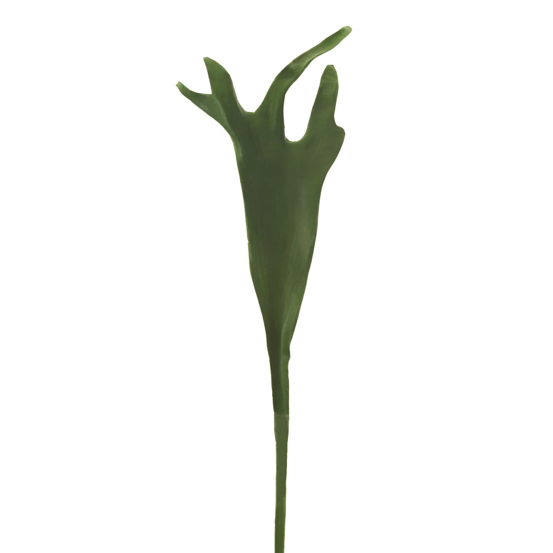 Hoja de Platycerium artificial de 74 cm, color verde