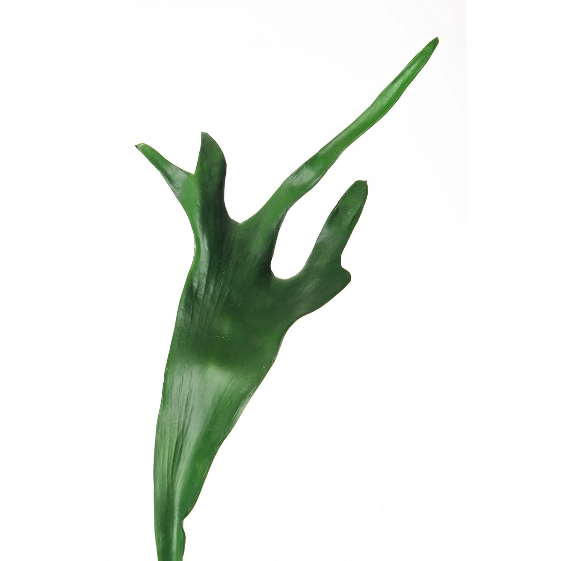 Hoja de Platycerium artificial de 74 cm, color verde