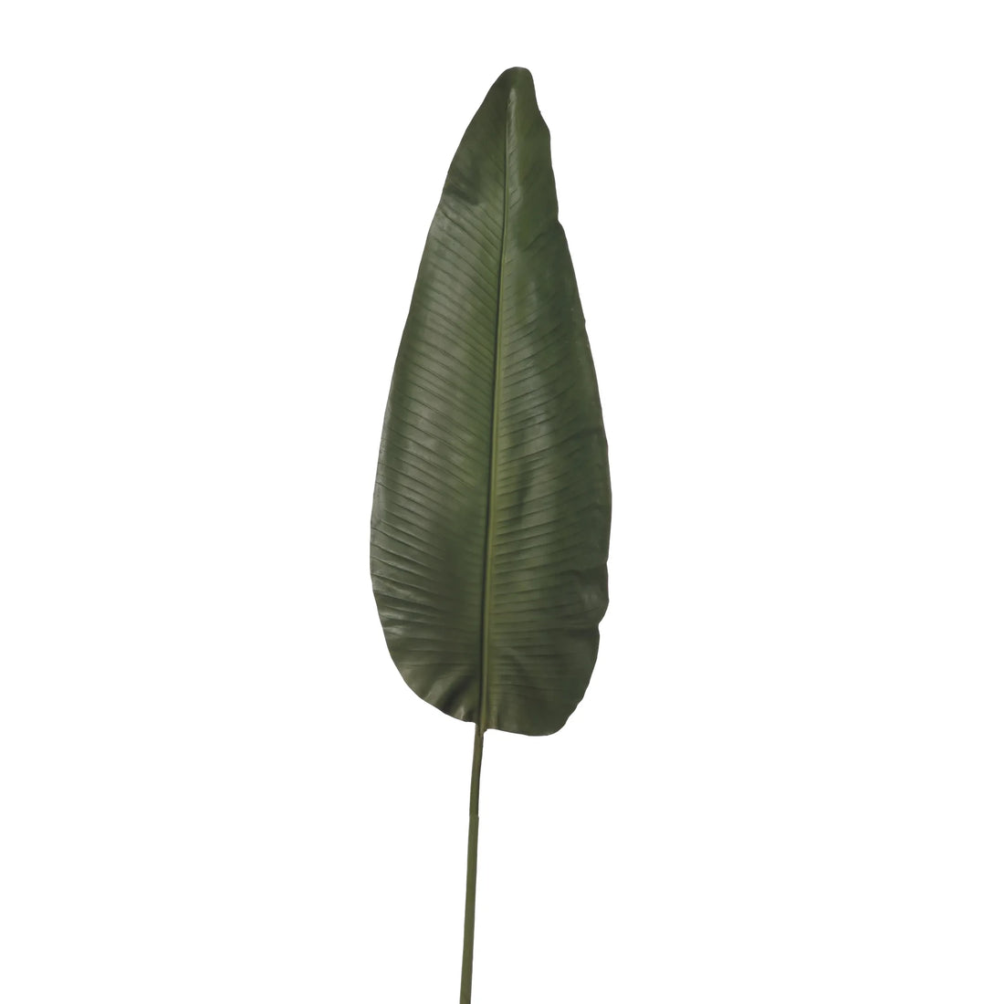 Hoja de Strelitzia artificial Gigante de 160 cm, color verde