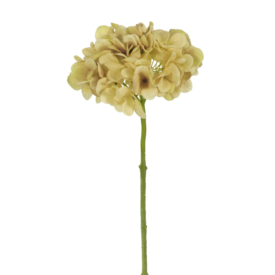 Hortensia artificial Mediana de 46 cm, color beige